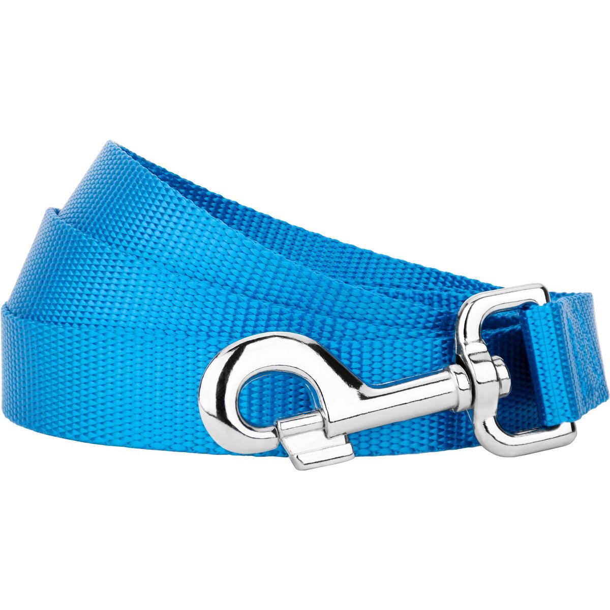 Country Brook Design Nylon Dog Leash, 6-ft, Ice Blue, Large