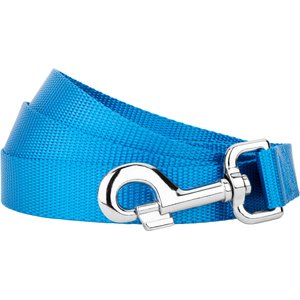Country Brook Design Nylon Dog Leash, 6-ft, Ice Blue, Large
