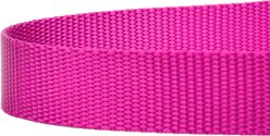 Country Brook Design Nylon Dog Leash, 6-ft, Fuchsia, Large slide 2 of 5