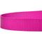 Show in main carousel: Country Brook Design Nylon Dog Leash, 6-ft, Fuchsia, Large slide 5 of 5