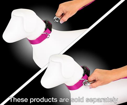 Show full view: Country Brook Design Nylon Dog Leash, 6-ft, Fuchsia, Large slide 2 of 5