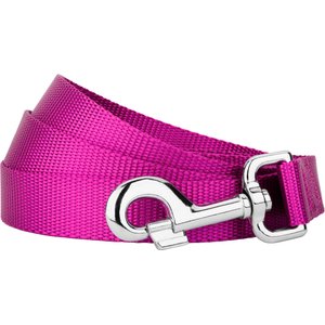 Country Brook Design Nylon Dog Leash, 6-ft, Fuchsia, Large