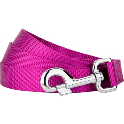 Country Brook Design Country Brook Design Nylon Dog Leash, 6-ft, Fuchsia, Large
