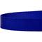 Show in main carousel: Country Brook Design Nylon Dog Leash, 6-ft, Bright Royal Blue, Large slide 8 of 8