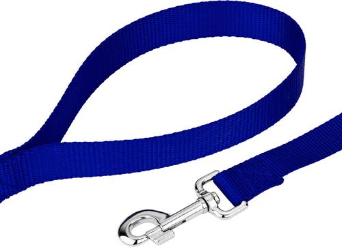 Show full view: Country Brook Design Nylon Dog Leash, 6-ft, Bright Royal Blue, Large slide 7 of 8