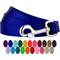 Show in main carousel: Country Brook Design Nylon Dog Leash, 6-ft, Bright Royal Blue, Large slide 6 of 8