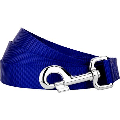 Country Brook Design Country Brook Design Nylon Dog Leash, 6-ft, Bright Royal Blue, Large