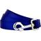 Show in main carousel: Country Brook Design Nylon Dog Leash, 6-ft, Bright Royal Blue, Large slide 1 of 8