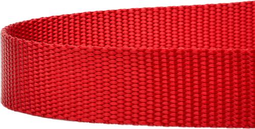Show full view: Country Brook Design Nylon Dog Leash, 6-ft, Bright Red, Large slide 7 of 7