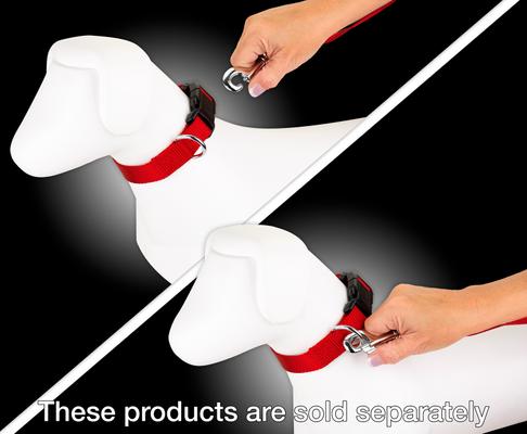 Show full view: Country Brook Design Nylon Dog Leash, 6-ft, Bright Red, Large slide 4 of 7