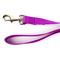 Show in main carousel: Country Brook Design Nylon Dog Leash, 6-ft, Bright Purple, Large slide 5 of 7