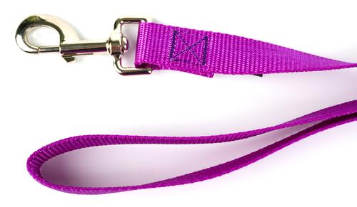 Show full view: Country Brook Design Nylon Dog Leash, 6-ft, Bright Purple, Large slide 5 of 7