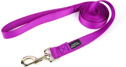 Country Brook Design Nylon Dog Leash, 6-ft, Bright Purple, Large
