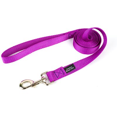 Country Brook Design Country Brook Design Nylon Dog Leash, 6-ft, Bright Purple, Large