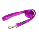 Country Brook Design Nylon Dog Leash, 6-ft, Bright Purple, Large