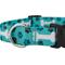 Show in main carousel: Country Brook Design Oh My Dog Deluxe Dog Collar, Teal, XX-Small slide 5 of 5