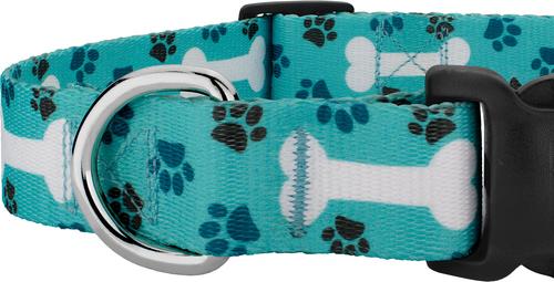 Show full view: Country Brook Design Oh My Dog Deluxe Dog Collar, Teal, XX-Small slide 5 of 5