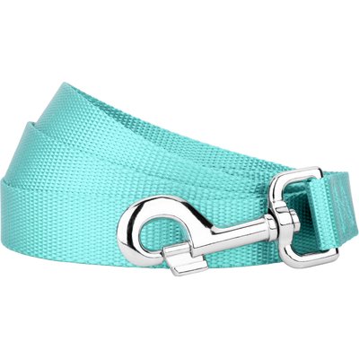 Country Brook Design Country Brook Design Nylon Dog Leash, 6-ft, Light Cyan, Large