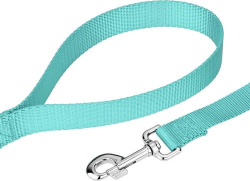 Show full view: Country Brook Design Nylon Dog Leash, 6-ft, Light Cyan, Large slide 5 of 6