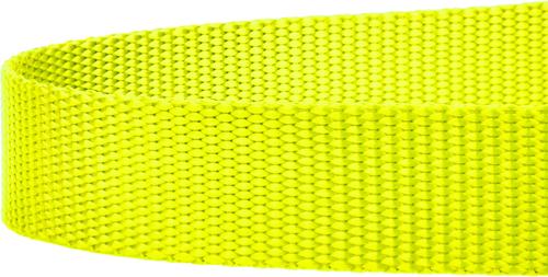 Show full view: Country Brook Design Nylon Dog Leash, 6-ft, Hot Yellow, Large slide 5 of 5