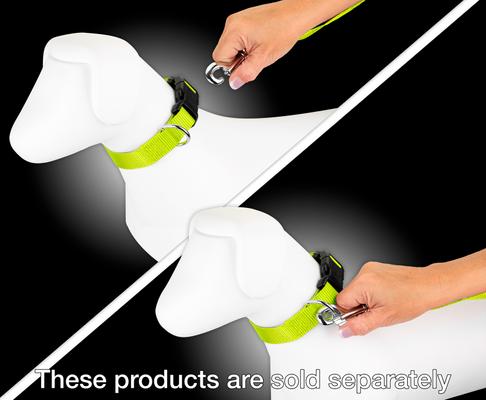 Show full view: Country Brook Design Nylon Dog Leash, 6-ft, Hot Yellow, Large slide 2 of 5