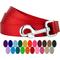 Show in main carousel: Country Brook Design Nylon Dog Leash, 6-ft, Bright Red, Large slide 5 of 7