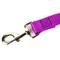 Show in main carousel: Country Brook Design Nylon Dog Leash, 6-ft, Bright Purple, Large slide 6 of 7
