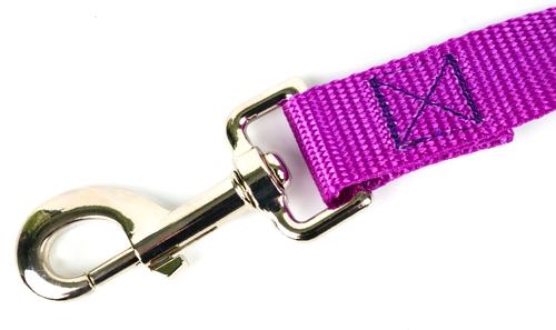 Show full view: Country Brook Design Nylon Dog Leash, 6-ft, Bright Purple, Large slide 6 of 7