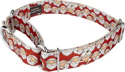 Country Brook Design Where's Merry Martingale Dog Collar, Large slide 2 of 6
