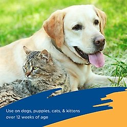 Zodiac Flea & Tick Spray for Dogs, Cats, Puppies & Kittens, 16-fl oz slide 2 of 6