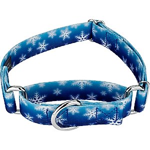 Country Brook Design Winter Wonderland Martingale Dog Collar, Large