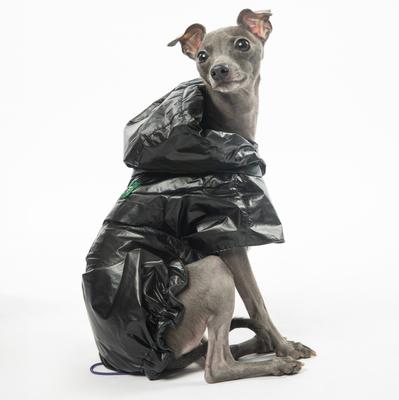 Show full view: Pebot Alita Hooded Dog & Cat Lightweight Waterproof Rain Jacket, Black, Size 18 slide 4 of 7