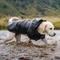 Show in main carousel: Pebot Alita Hooded Dog & Cat Lightweight Waterproof Rain Jacket, Black, Size 18 slide 5 of 7