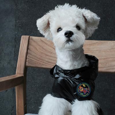 Show full view: Pebot Alita Hooded Dog & Cat Lightweight Waterproof Rain Jacket, Black, Size 18 slide 2 of 7