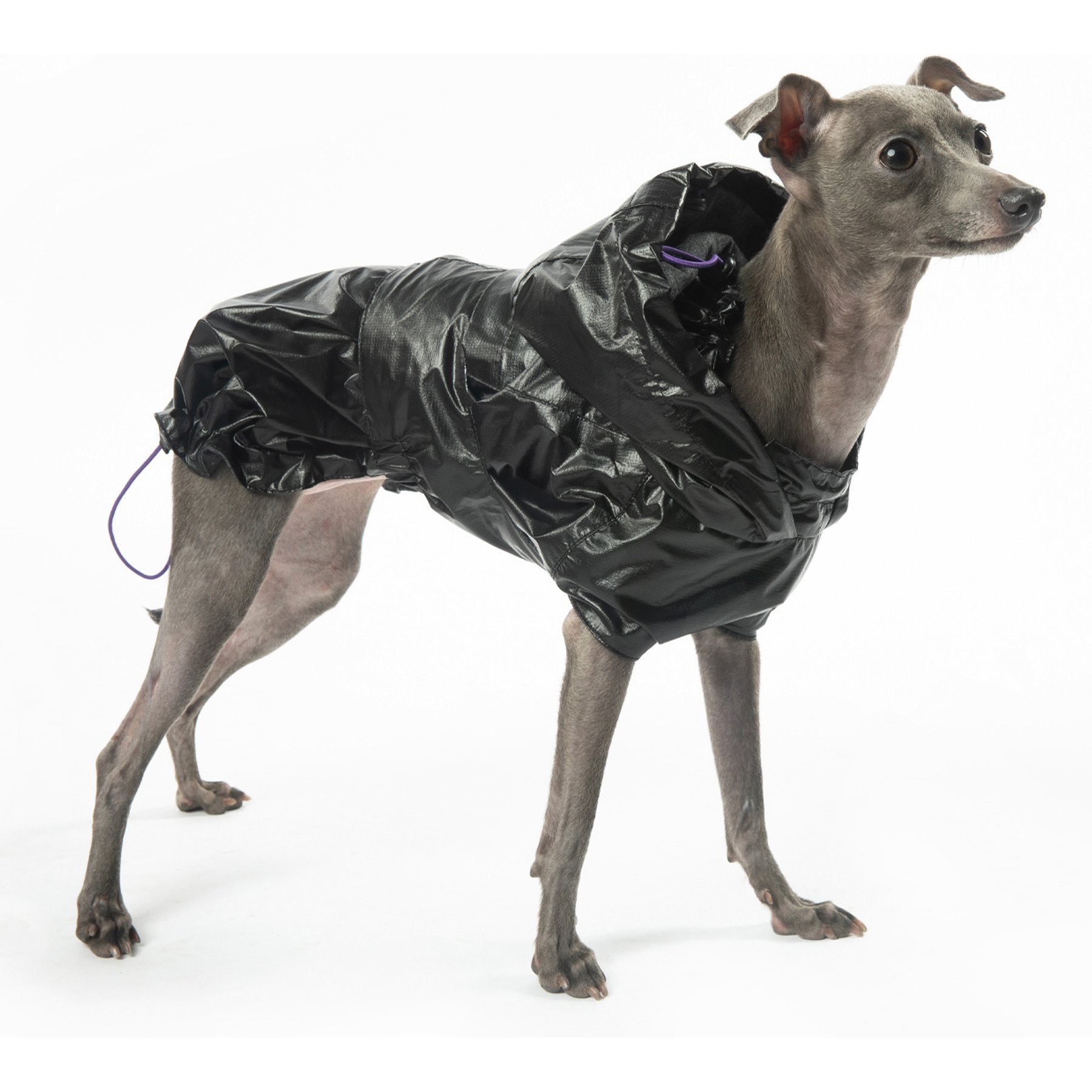 Pebot Alita Hooded Dog & Cat Lightweight Waterproof Rain Jacket, Black, Size 20