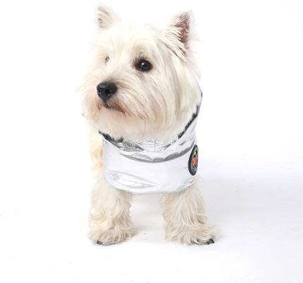 Show full view: Pebot Alita+ Travel Pouch Hooded Lightweight Dog & Cat Waterproof Rain Jacket, Size 26 slide 6 of 7