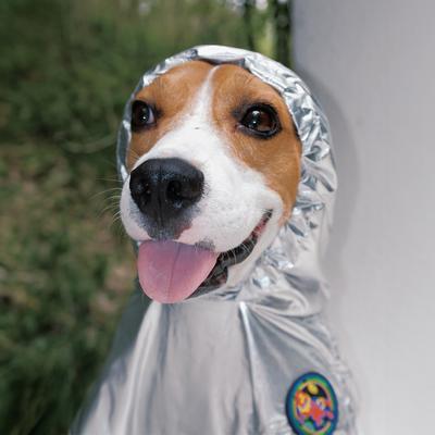 Show full view: Pebot Alita+ Travel Pouch Hooded Lightweight Dog & Cat Waterproof Rain Jacket, Size 26 slide 4 of 7