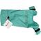 Show in main carousel: Pebot Atlas Lightweight Dog & Cat Waterproof Rainsuit with Leash Clip, Teal, Size 24 slide 4 of 6