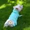 Show in main carousel: Pebot Atlas Lightweight Dog & Cat Waterproof Rainsuit with Leash Clip, Teal, Size 24 slide 3 of 6