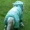 Show in main carousel: Pebot Atlas Lightweight Dog & Cat Waterproof Rainsuit with Leash Clip, Teal, Size 24 slide 2 of 6