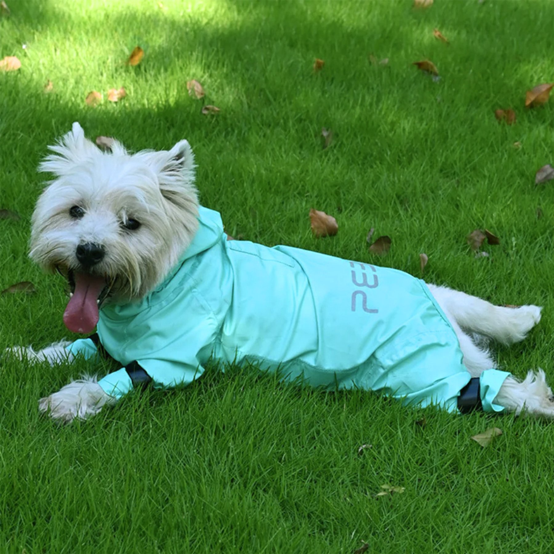 Pebot Atlas Lightweight Dog & Cat Waterproof Rainsuit with Leash Clip, Teal, Size 22