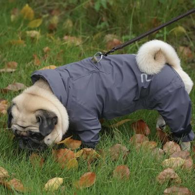Show full view: Pebot Atlas Lightweight Dog & Cat Waterproof Rainsuit with Leash Clip, Dark Gray, Size 8 slide 4 of 7