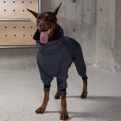 Pebot Atlas Lightweight Dog & Cat Waterproof Rainsuit with Leash Clip, Dark Gray, Size 12 slide 2 of 7