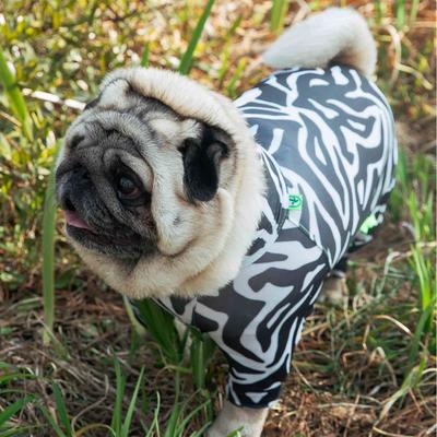 Show full view: Pebot Buzzz Off Dog & Cat Natural Anti-Mosquito Repellent Onesie, Standard Leg, Size 8 slide 4 of 7