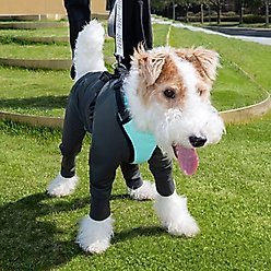 Pebot Troublemaker Dog & Cat UV Protection Onesie, Dark Gray, Size 20 slide 2 of 7