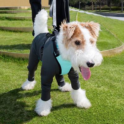 Show full view: Pebot Troublemaker Dog & Cat UV Protection Onesie, Dark Gray, Size 10 slide 6 of 7