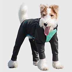 Pebot Troublemaker Dog & Cat UV Protection Onesie, Dark Gray, Size 10 slide 2 of 7