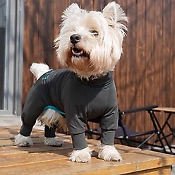 Pebot Troublemaker Dog & Cat UV Protection Onesie, Dark Gray, Size 10