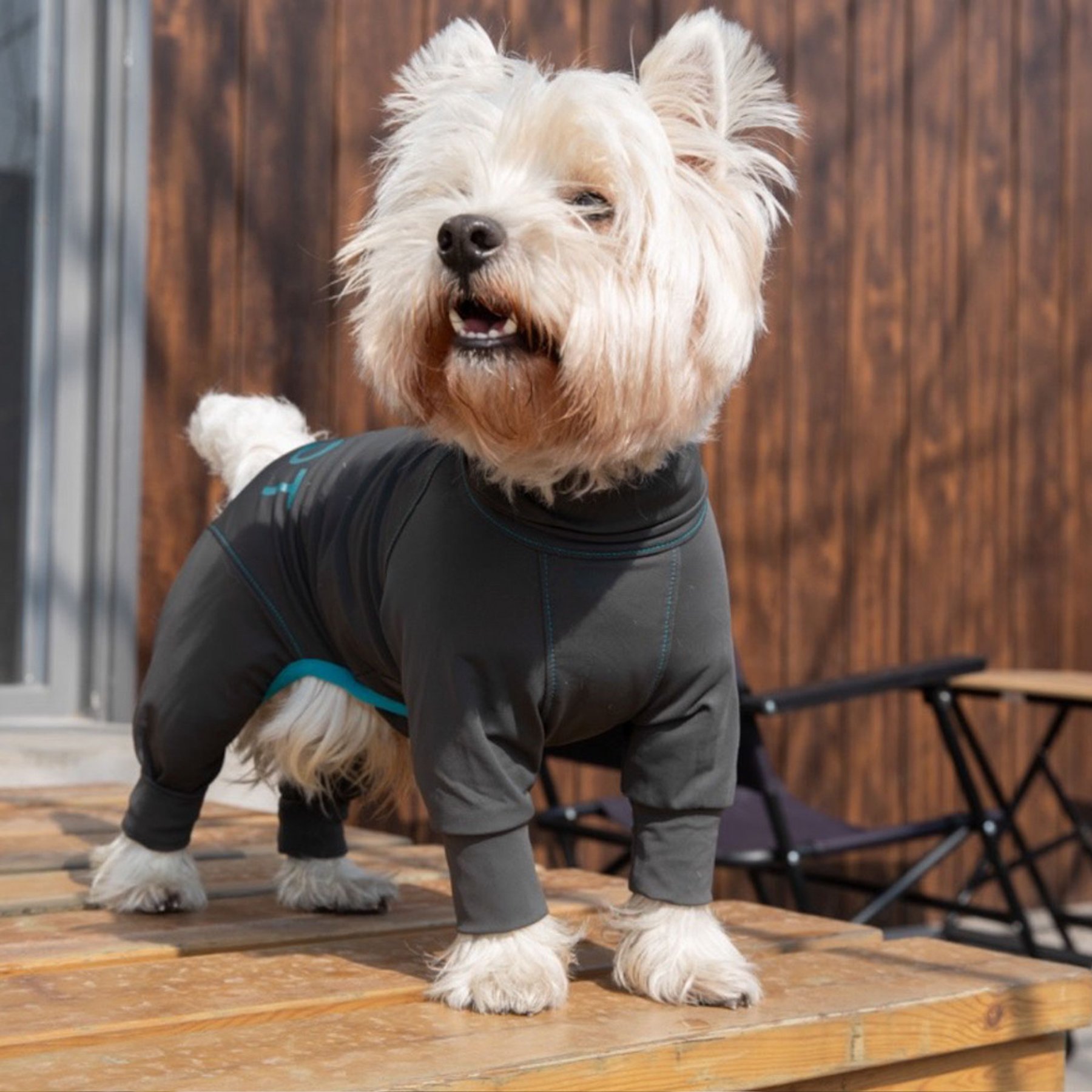 Pebot Troublemaker Dog & Cat UV Protection Onesie, Dark Gray, Size 10