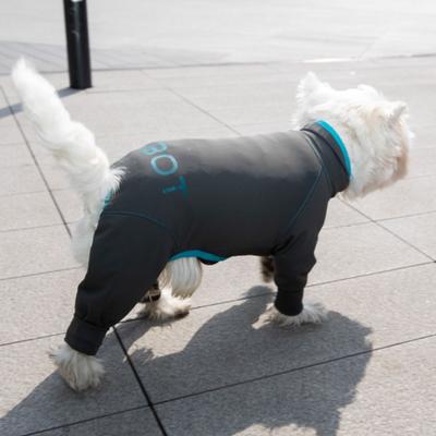 Show full view: Pebot Troublemaker Dog & Cat UV Protection Onesie, Dark Gray, Size 10 slide 3 of 7